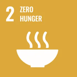 UN Sustainable Development Goal