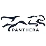 Panthera